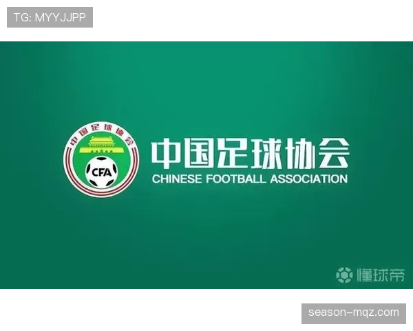 不当行为判罚:裁判判定黄牌与红牌的关键标准 不当行为判罚:裁判判定黄牌与红牌的关键标准